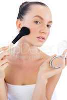 Young model with powder compact and brush