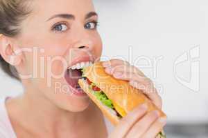 Happy woman eating sandwich and looking at camera
