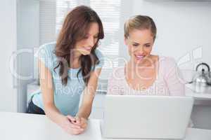 Friends using laptop together