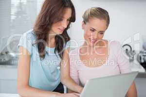 Pretty women using laptop together