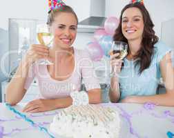 Smiling women having a birthday toast