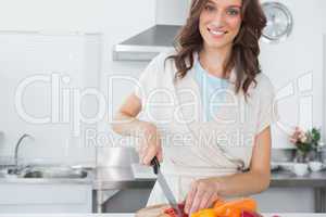 Pretty brunette posing while cooking