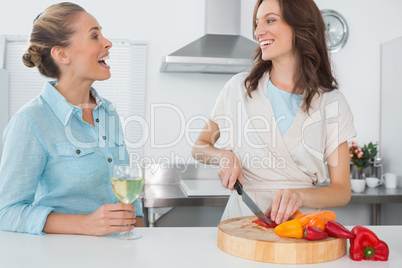 Brunette cooking while talking to her friend