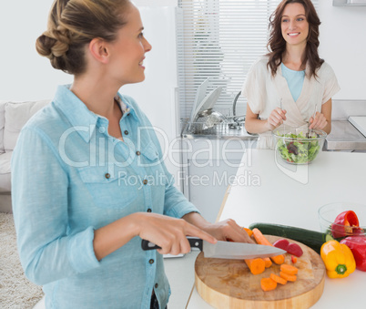 Smiling woman cutting carrots with her friend tossing salad