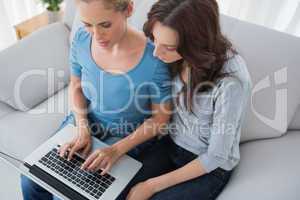 Women surfing the net together