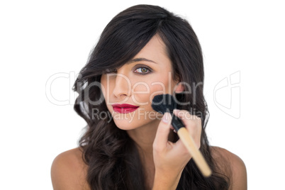 Glamorous brunette applying blusher