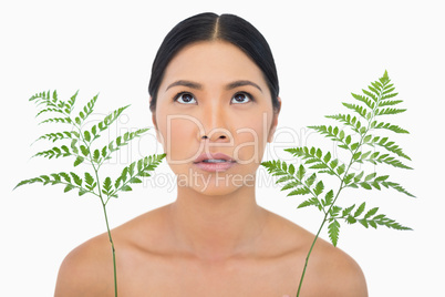 Sensual dark haired model with fern looking up