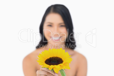 Smiling natural model holding sunflower in her hand
