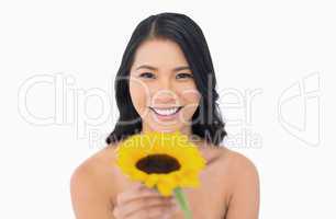 Cheerful natural model holding sunflower in her hand