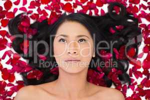 Thoughtful attractive dark haired model lying in rose petals