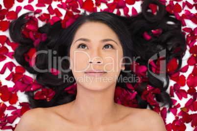 Pensive sensual dark haired model lying in rose petals