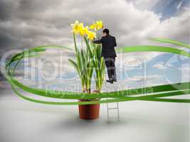 Businessman on ladder touching giant daffodils