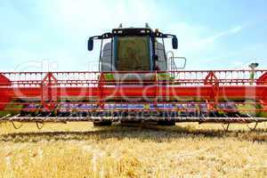 Machine with the grain harvest