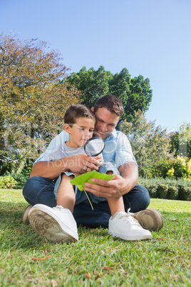 Happy dad and son inspecting leaf with a magnifying glass