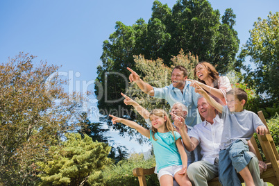 Nice family and grandparents pointing into the sky