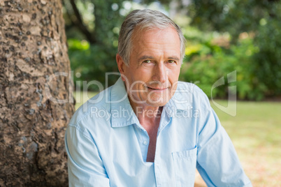 Smiling retired man sitting on tree trunk