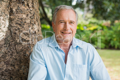 Happy retired man sitting on tree trunk