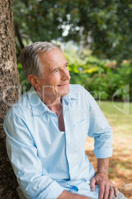 Thoughtful retired man sitting on tree trunk