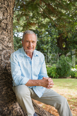 Happy mature man sitting on tree trunk