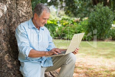 Cheerful mature man sitting on tree trunk using laptop