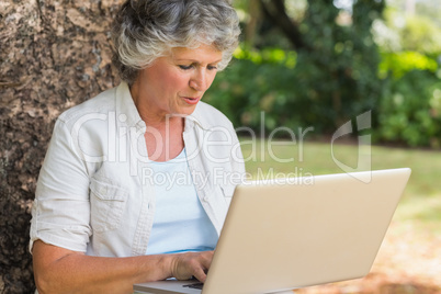 Grey haired woman with a laptop