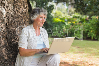Happy grey haired woman with a laptop sitting on tree