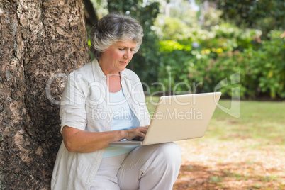 Mature woman typing something into a laptop sitting on tree trun