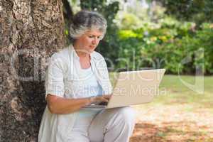 Mature woman typing something into a laptop sitting on tree trun