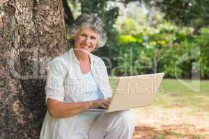 Mature woman using a laptop sitting on tree trunk