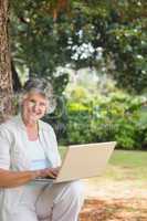 Happy mature woman using a laptop sitting on tree trunk