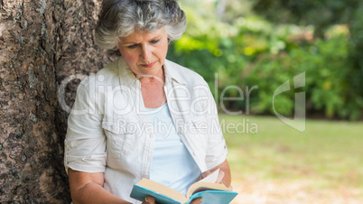 Cheerful mature woman reading book sitting on tree trunk