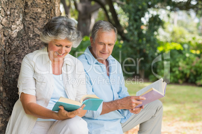 Mature couple reading books together sitting on tree trunk