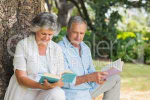 Mature couple reading books together sitting on tree trunk