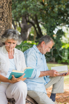 Happy older couple reading books together sitting on tree trunk