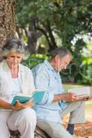 Happy older couple reading books together sitting on tree trunk