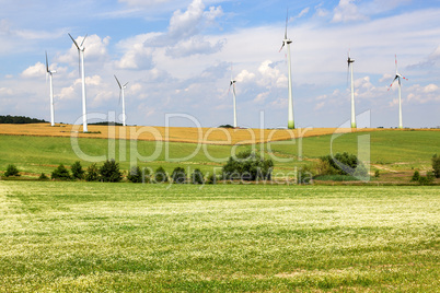 Windmills in cornfield