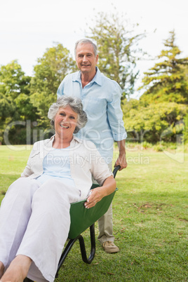 Silly man pushing his wife in a wheelbarrow