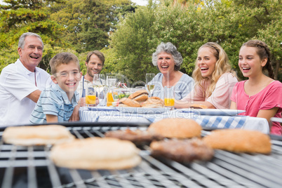 Laughing family having a barbecue in the park together