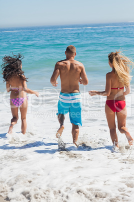 Friends going bathing in the sea