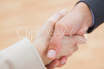 Close up on new partners shaking hands