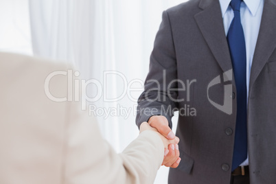 New partners shaking hands