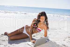 Sexy young woman in bikini using her laptop