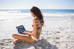 Attractive woman in bikini typing on her computer