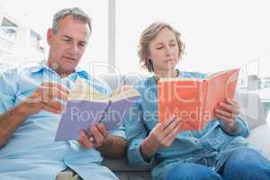 Relaxed couple reading books on the couch