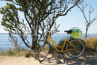 Bicycle with picnic basket