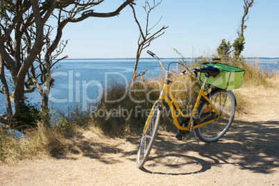 Bicycle with picnic basket