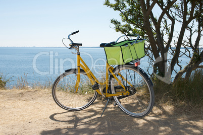 Bicycle with picnic basket