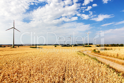 Windmills in cornfield