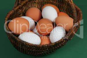 frische Eier aus Bodenhaltung