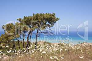 malerische Landschaft am Meer, Rhodos